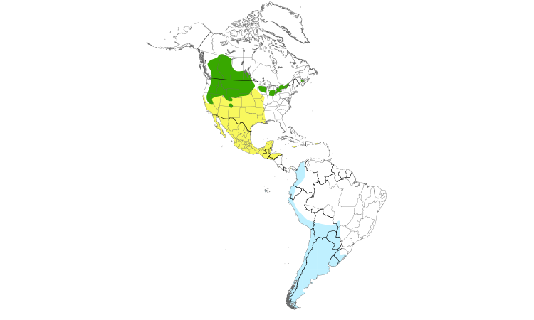 Carte de répartition  (Americas): Phalarope de Wilson