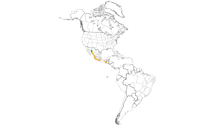 Range Map (Americas): Yellow Grosbeak