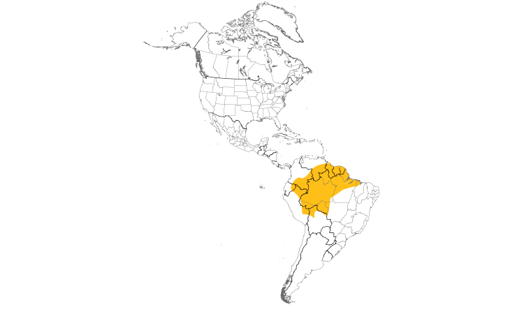 Range Map (Americas): Cinnamon-rumped Foliage-gleaner