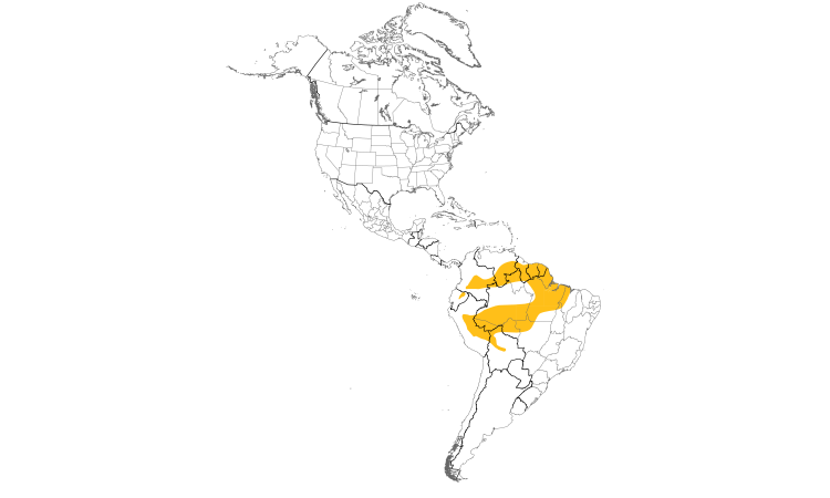 Range Map (Americas): Rufous-tailed Foliage-gleaner