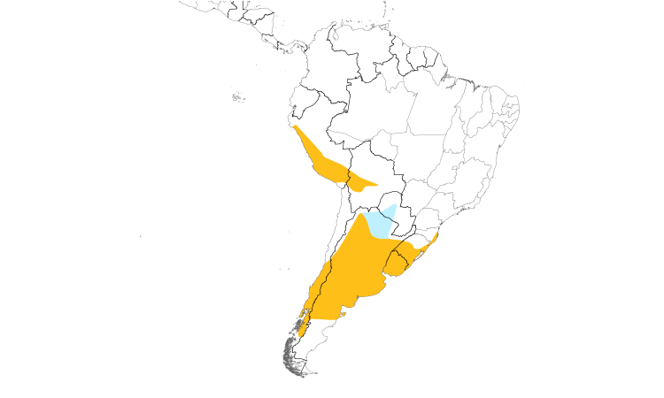 Range Map (South): Wren-like Rushbird