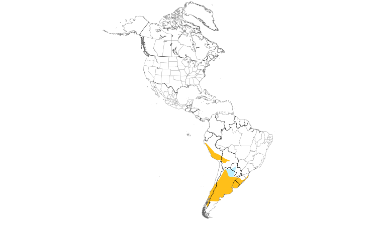 Range Map (Americas): Wren-like Rushbird