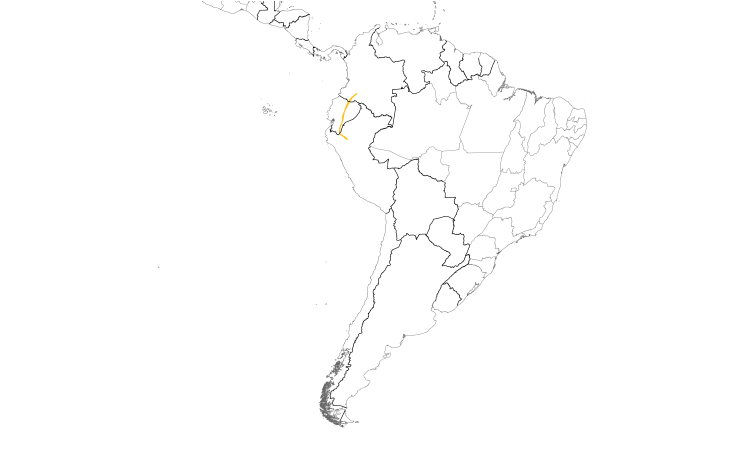 Range Map (South): Ecuadorian Piedtail