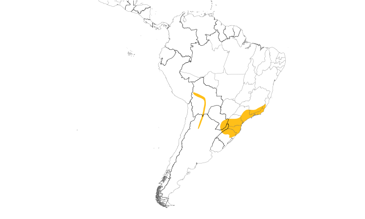 Range Map (South): Rough-legged Tyrannulet