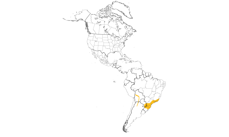 Range Map (Americas): Rough-legged Tyrannulet