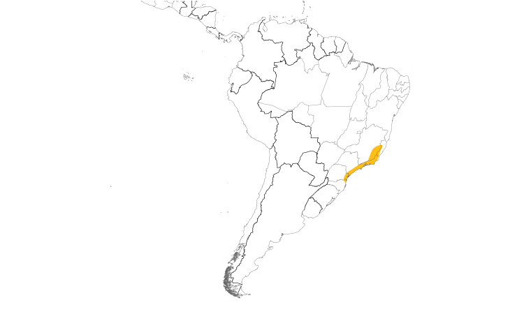 Range Map (South): Gray-capped Tyrannulet
