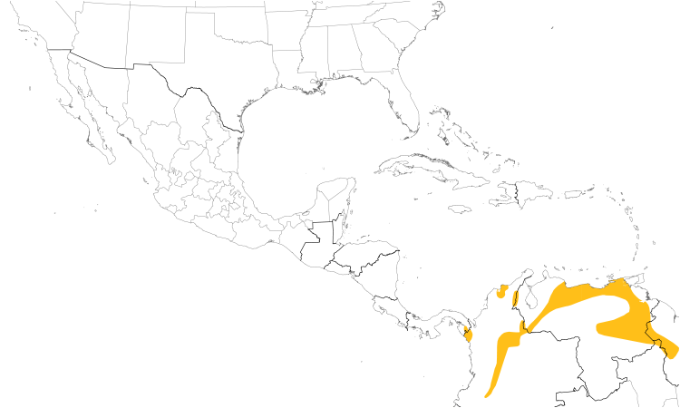 Range Map (Central): Sooty-headed Tyrannulet