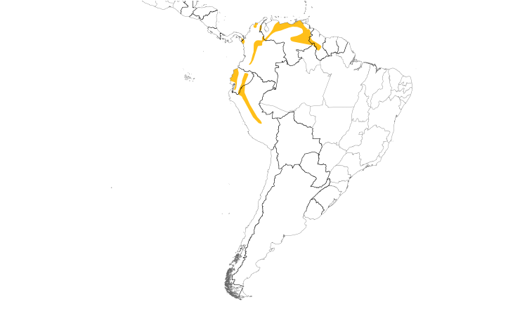 Range Map (South): Sooty-headed Tyrannulet