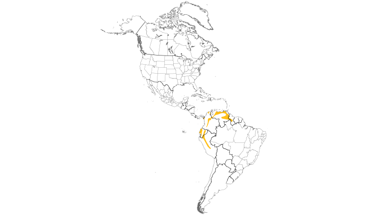 Range Map (Americas): Sooty-headed Tyrannulet