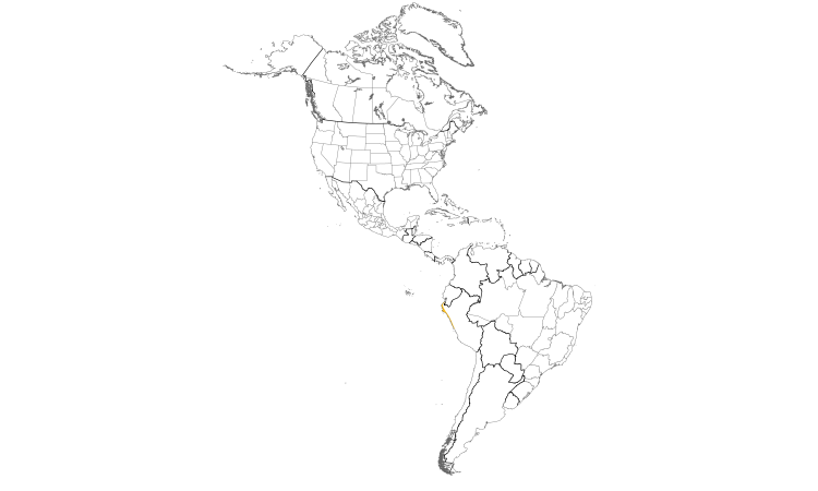 Range Map (Americas): Peruvian Plantcutter