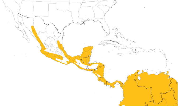 Range Map (Central): Squirrel Cuckoo