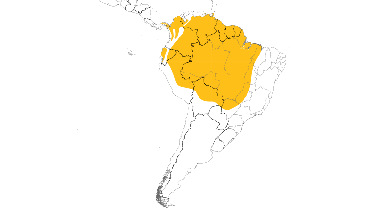 Range Map (South): Little Cuckoo
