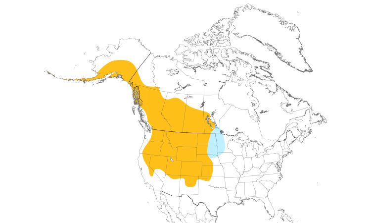 Range Map (North): Black-billed Magpie