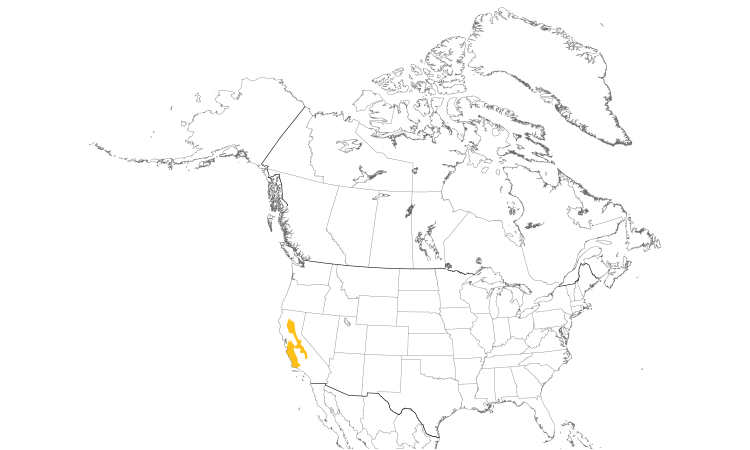 Range Map (North): Yellow-billed Magpie