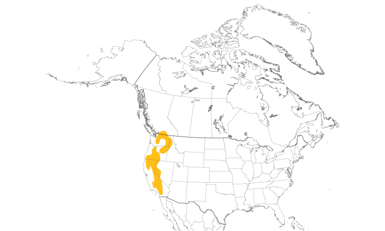 Range Map (North): White-headed Woodpecker