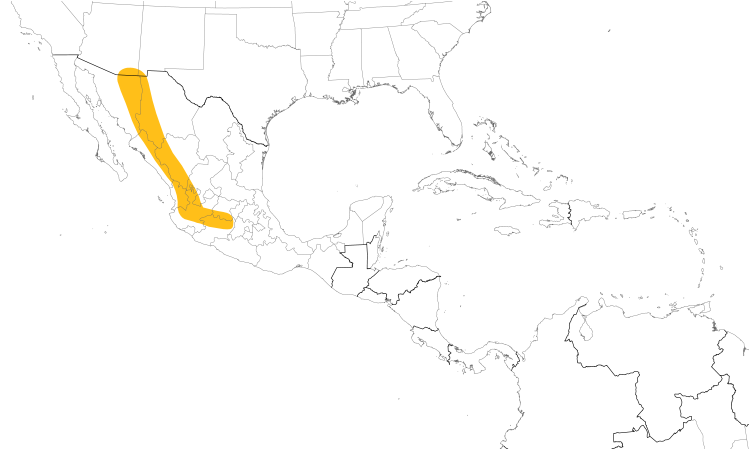 Range Map (Central): Arizona Woodpecker