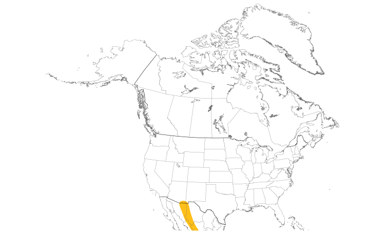 Range Map (North): Arizona Woodpecker