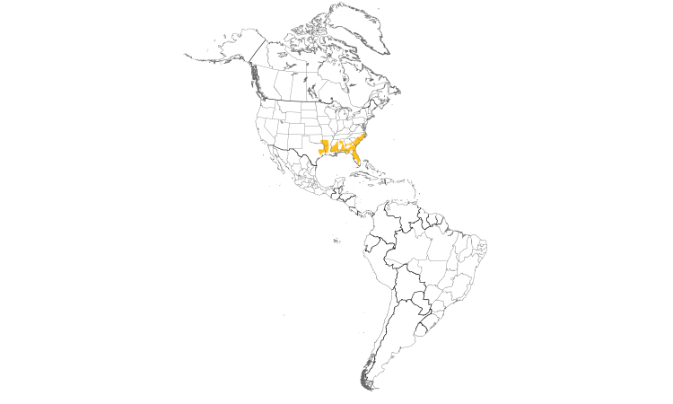 Range Map (Americas): Red-cockaded Woodpecker