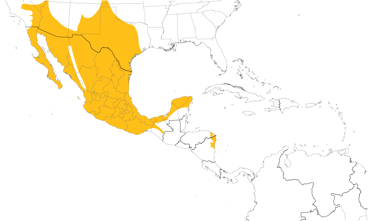 Range Map (Central): Ladder-backed Woodpecker