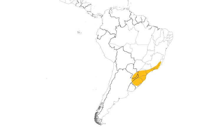 Range Map (South): White-browed Woodpecker