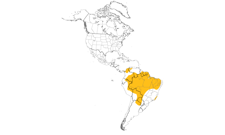 Range Map (Americas): Golden-green Woodpecker