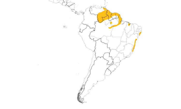 Range Map (South): Golden-spangled Piculet