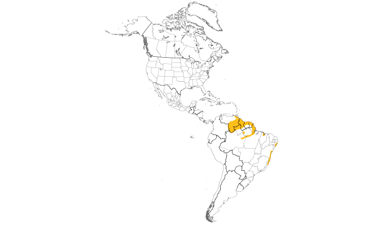 Range Map (Americas): Golden-spangled Piculet