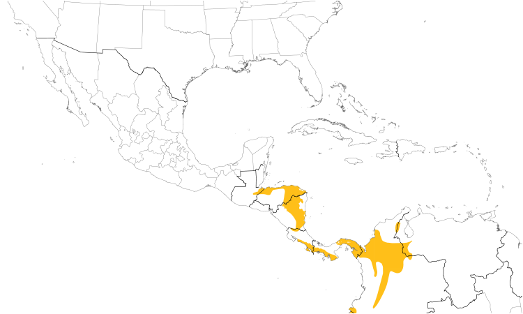 Range Map (Central): Olivaceous Piculet