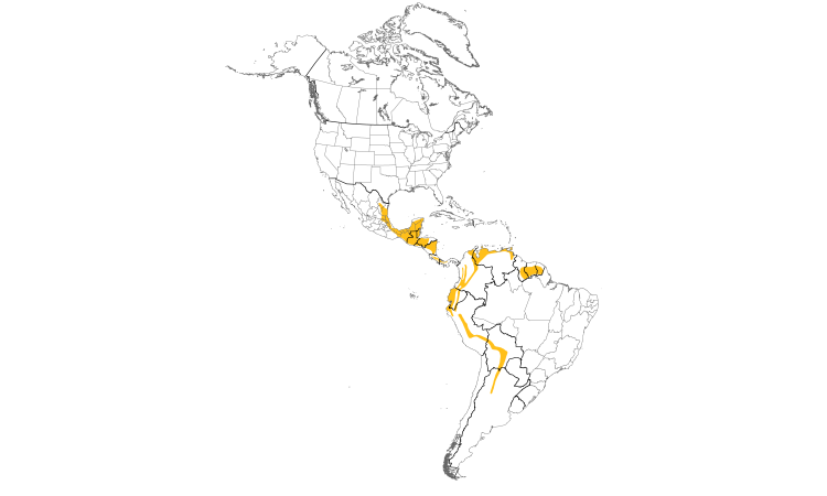 Range Map (Americas): Golden-olive Woodpecker