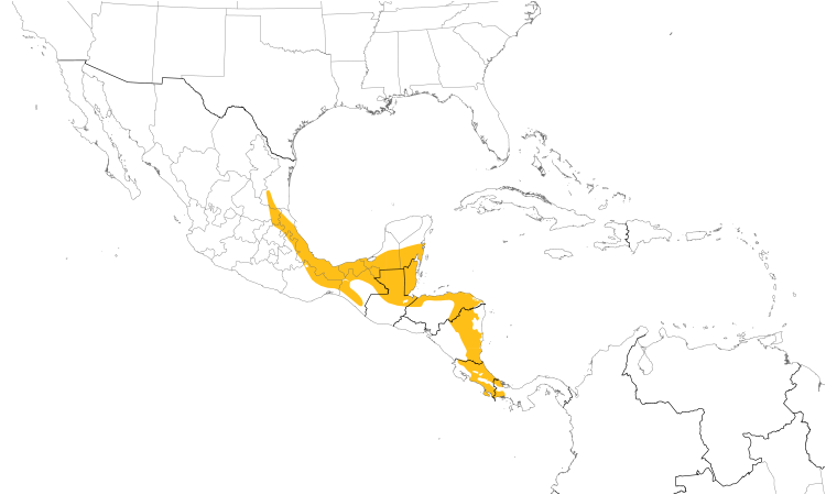 Range Map (Central): White-crowned Parrot
