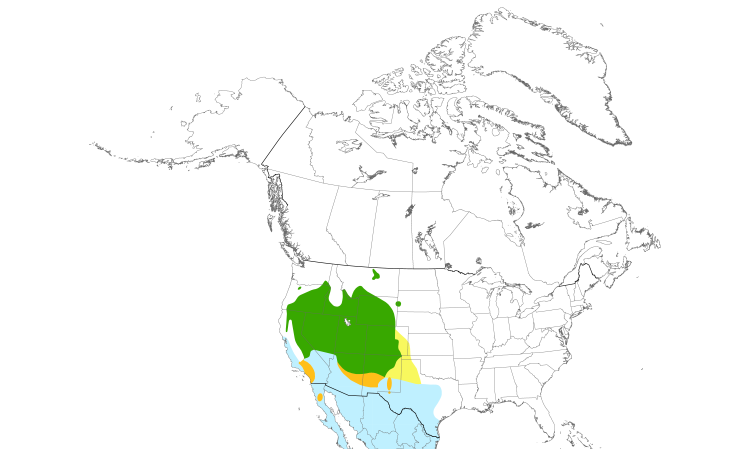 Range Map (North): Green-tailed Towhee