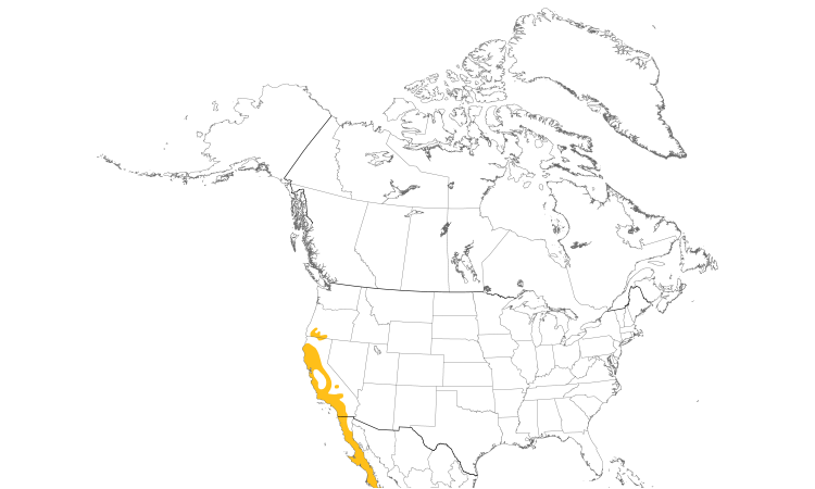 Range Map (North): California Towhee