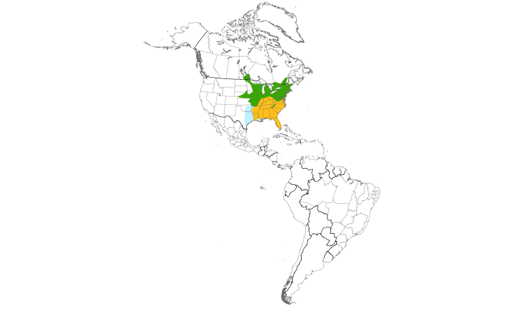 Range Map (Americas): Eastern Towhee