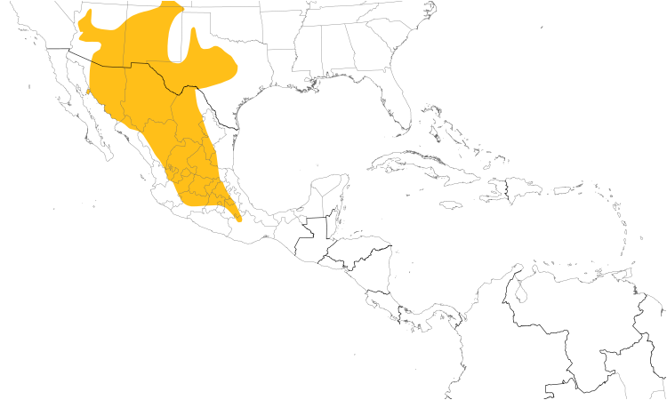 Range Map (Central): Canyon Towhee