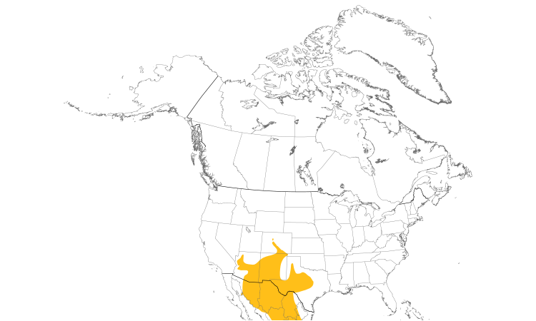 Range Map (North): Canyon Towhee