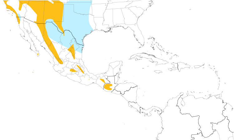 Range Map (Central): Spotted Towhee