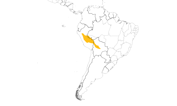 Range Map (South): Round-tailed Manakin