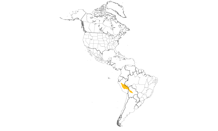 Range Map (Americas): Round-tailed Manakin