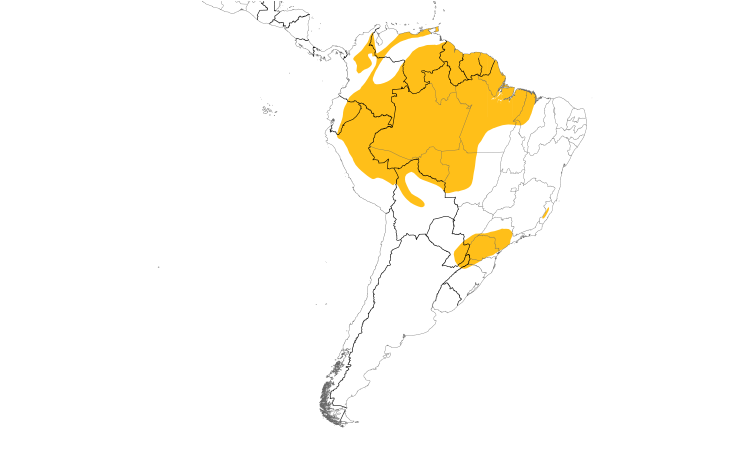Range Map (South): Wing-barred Piprites