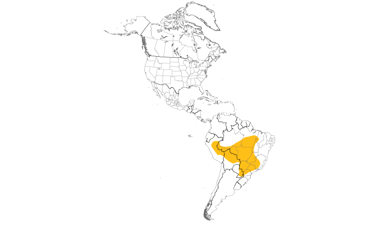 Range Map (Americas): Band-tailed Manakin