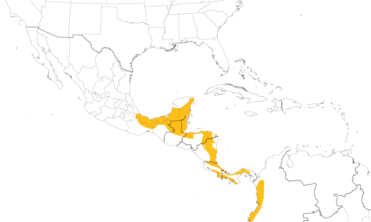 Range Map (Central): Red-capped Manakin