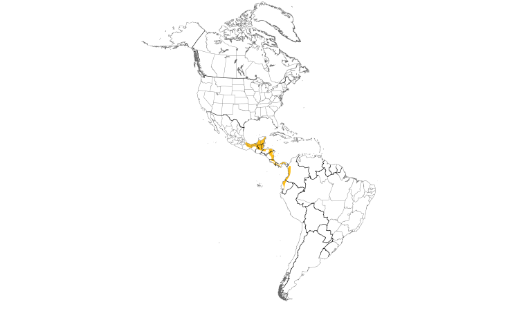 Range Map (Americas): Red-capped Manakin