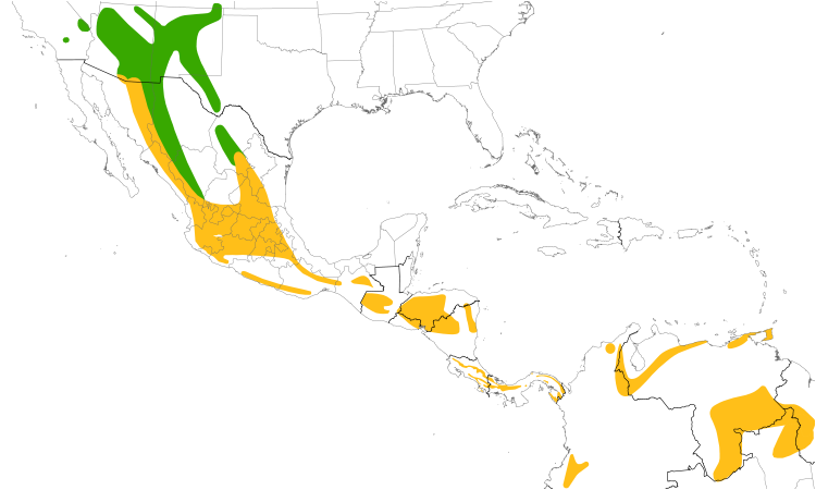 Range Map (Central): Hepatic Tanager