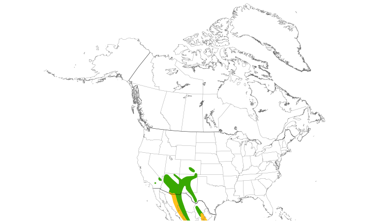 Range Map (North): Hepatic Tanager