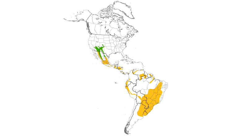 Range Map (Americas): Hepatic Tanager