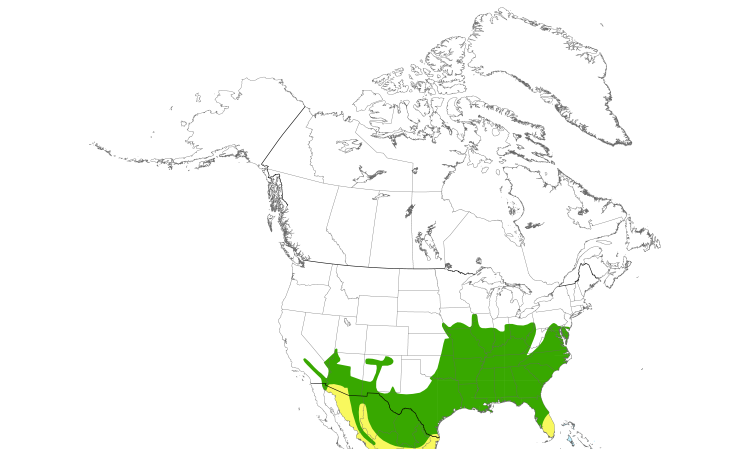 Range Map (North): Summer Tanager