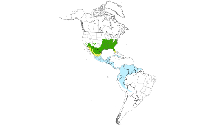 Range Map (Americas): Summer Tanager