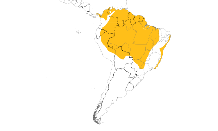 Range Map (South): Lesser Kiskadee