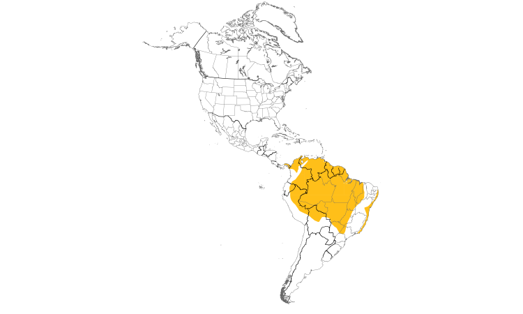 Range Map (Americas): Lesser Kiskadee