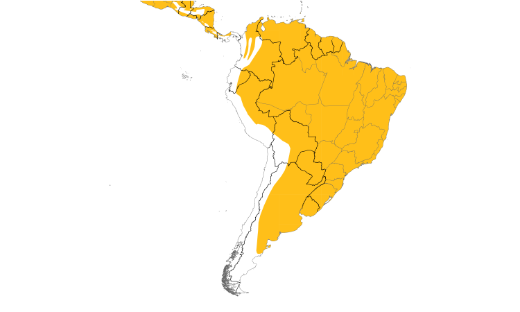 Range Map (South): Great Kiskadee